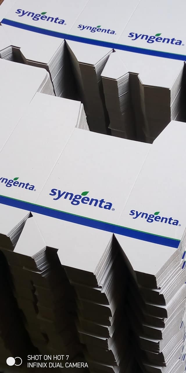 Amanda Marketing Project